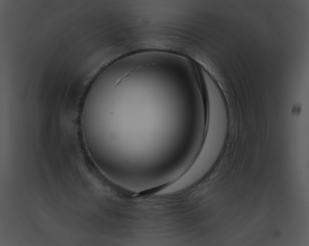 X0000091560434200708311418