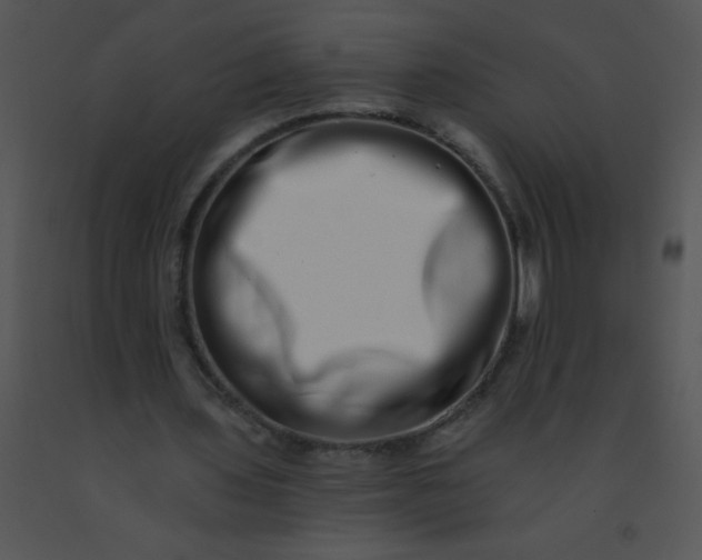 X0000091560435200708311418