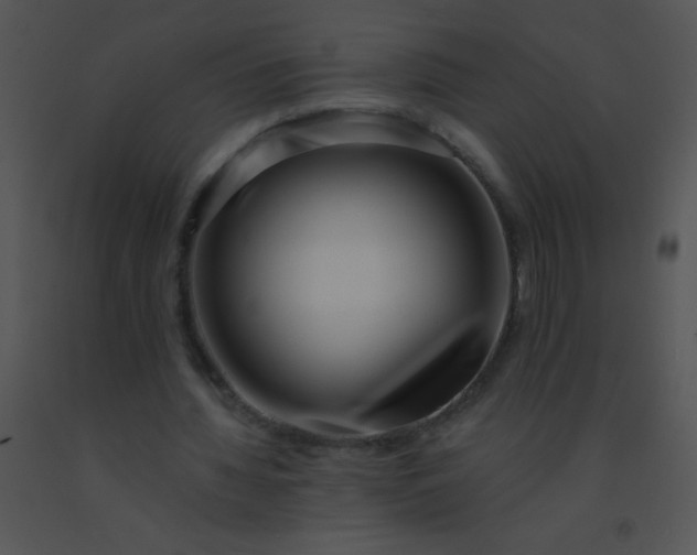 X0000091560436200708311418