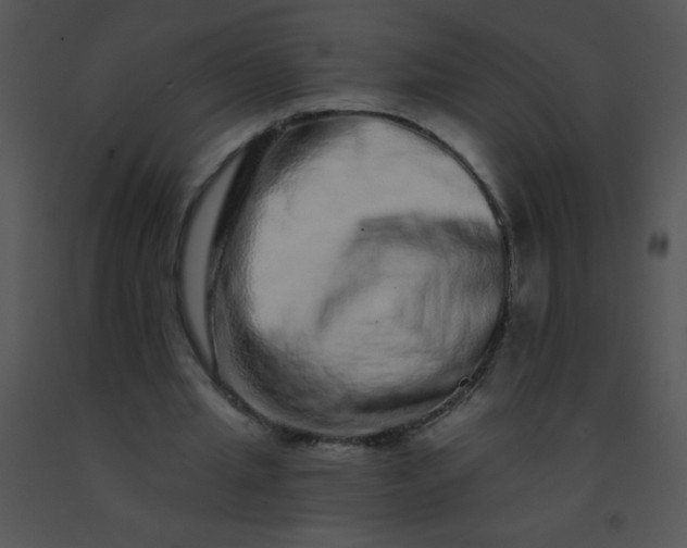 X0000091560437200708311418