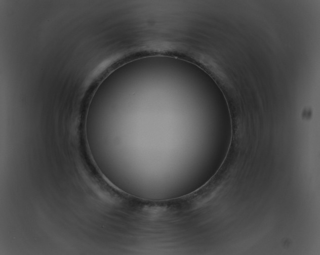 X0000091560440200708311418