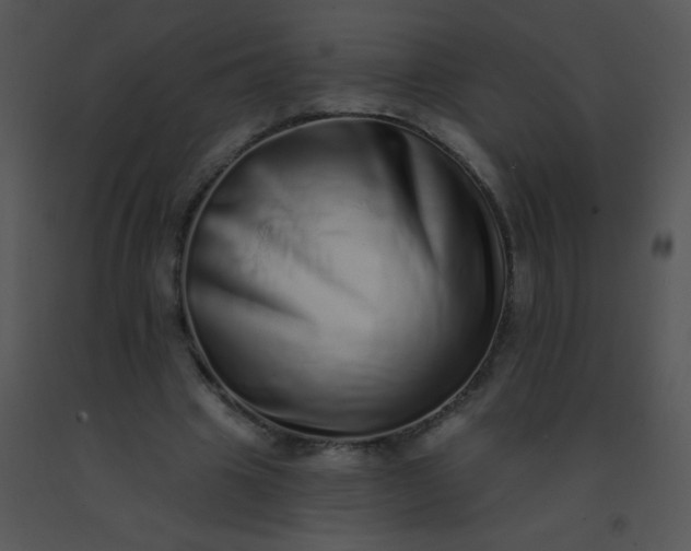 X0000091560441200708311418