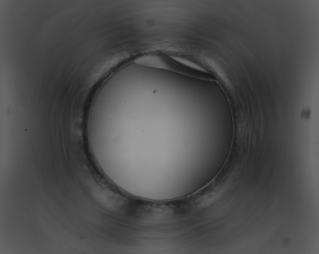 X0000091560443200708311418