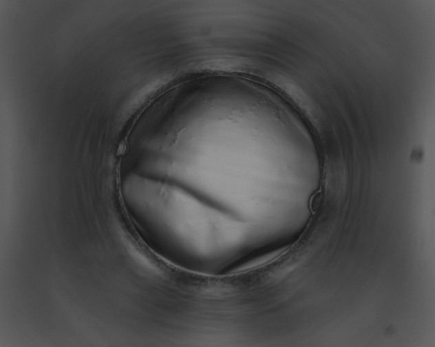 X0000091560445200708311418