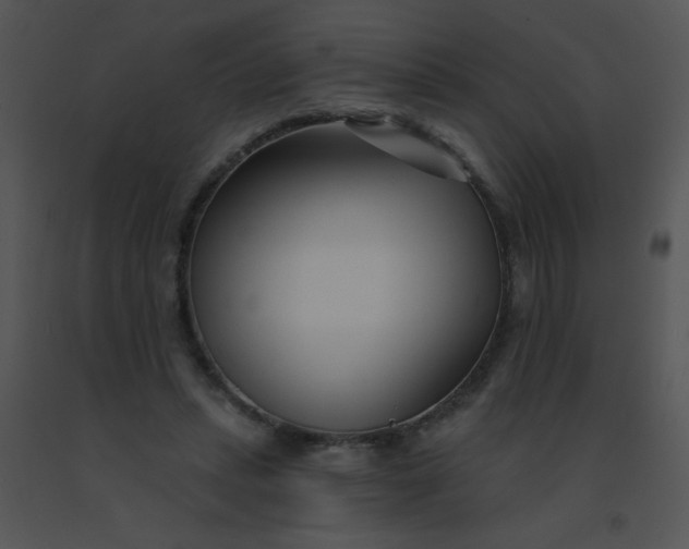 X0000091560447200708311418