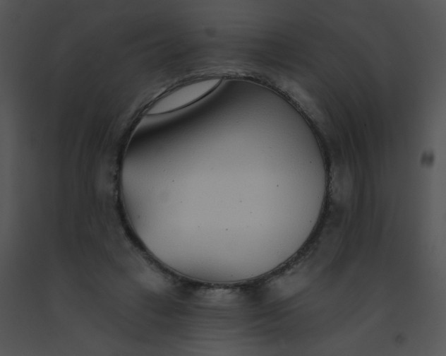 X0000091560449200708311418