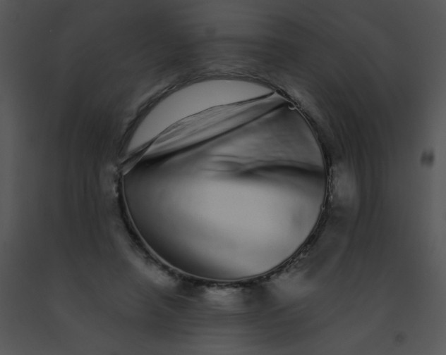 X0000091560450200708311418