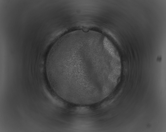 X0000091560451200708311418