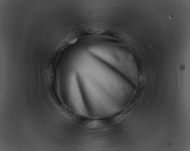 X0000091560460200708311418