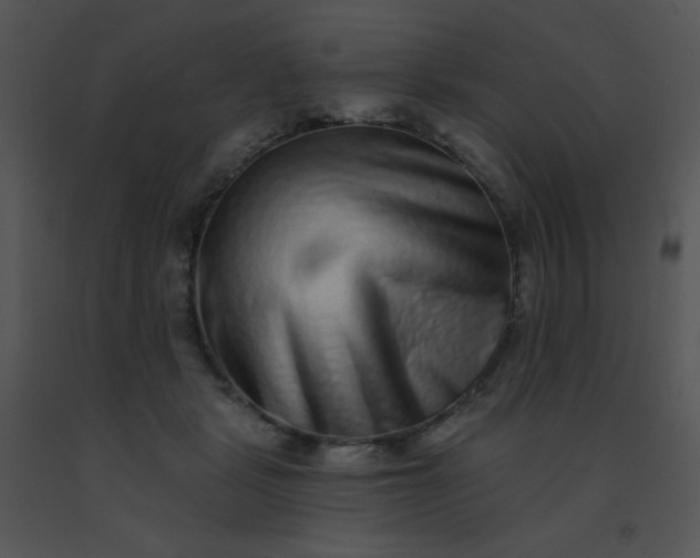 X0000091560461200708311418