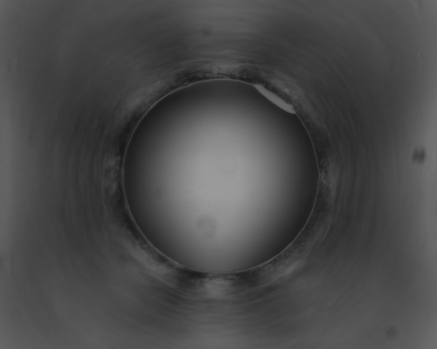 X0000091560462200708311418