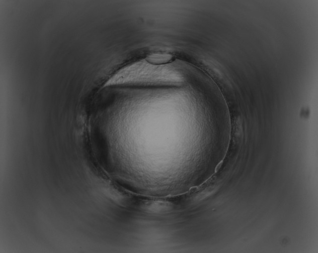 X0000091560463200708311418