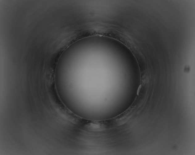 X0000091560464200708311418