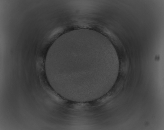 X0000091560465200708311418