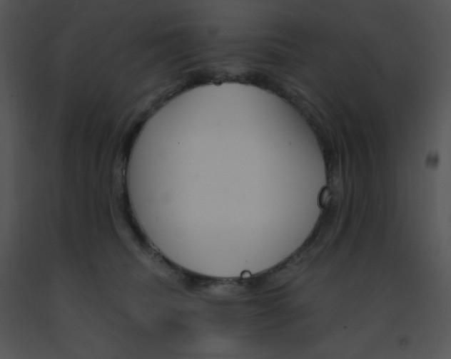 X0000091560468200708311418