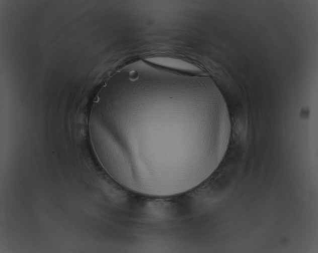 X0000091560470200708311418