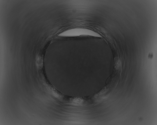 X0000091560471200708311418