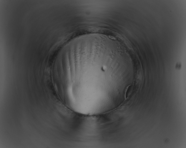 X0000091560473200708311418