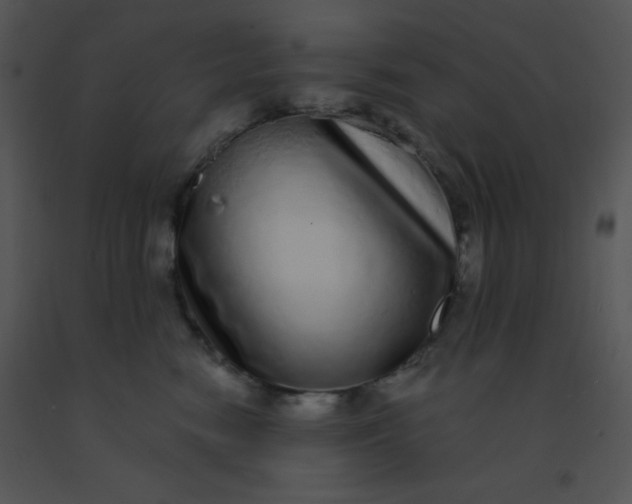 X0000091560474200708311418