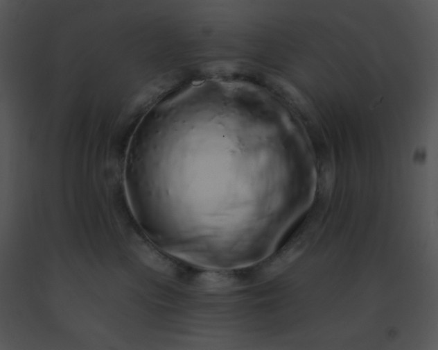 X0000091560477200708311418