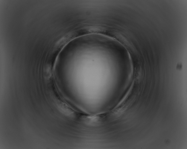 X0000091560478200708311418