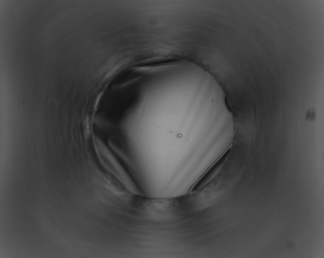 X0000091560479200708311418