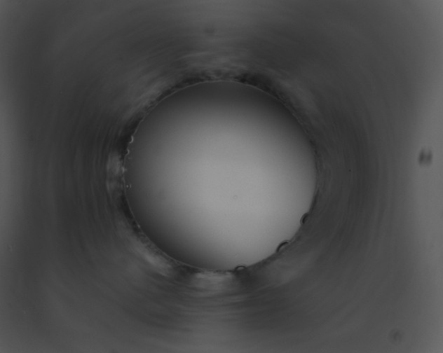 X0000091560480200708311418