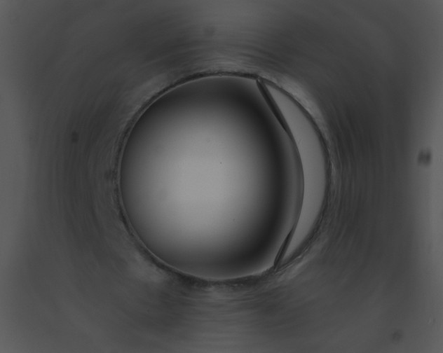 X0000091560481200708311418