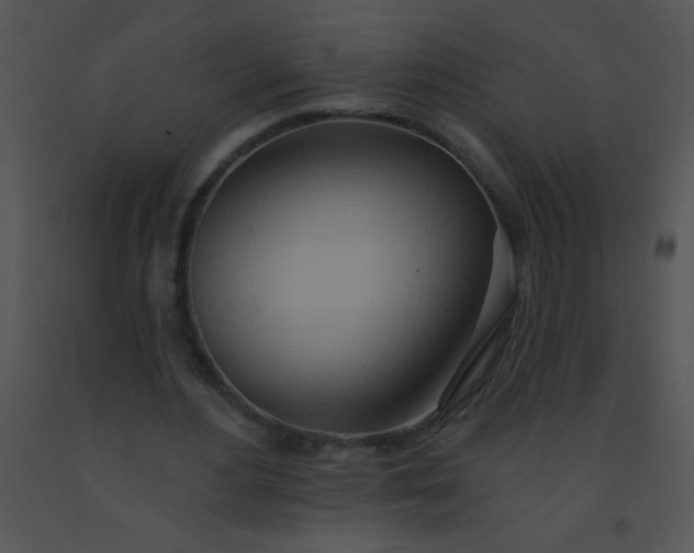 X0000091560484200708311418