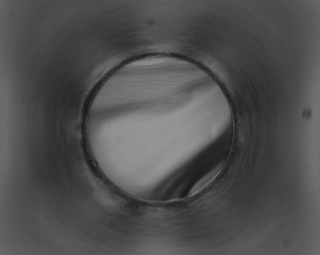 X0000091560486200708311418