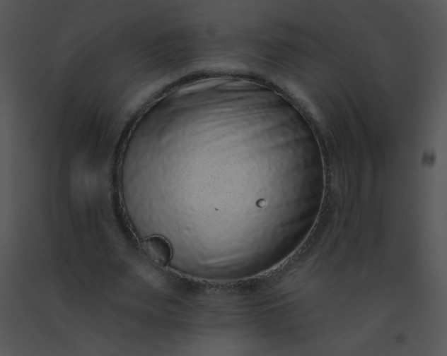 X0000091560487200708311418