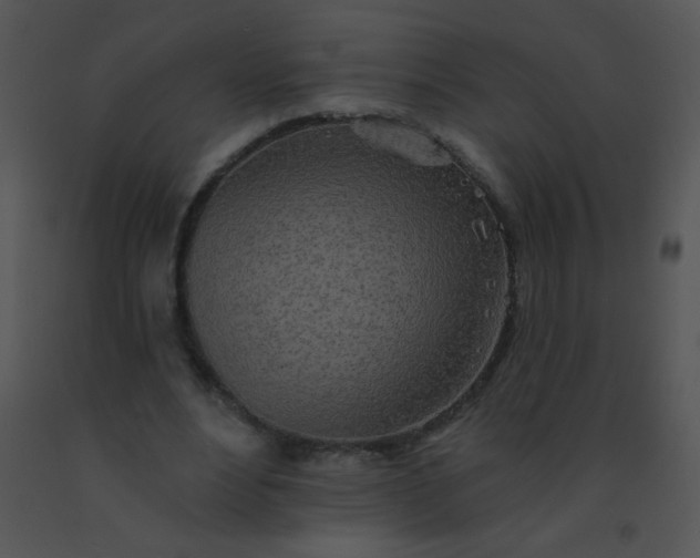 X0000091560488200708311418