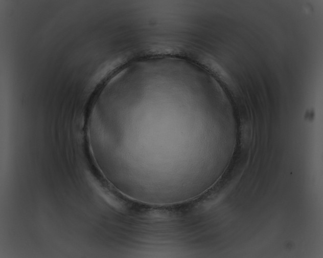 X0000091560490200708311418