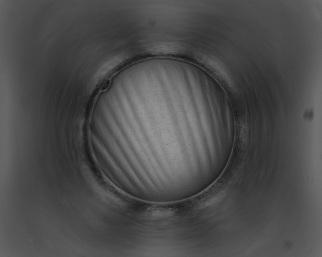 X0000091560491200708311418