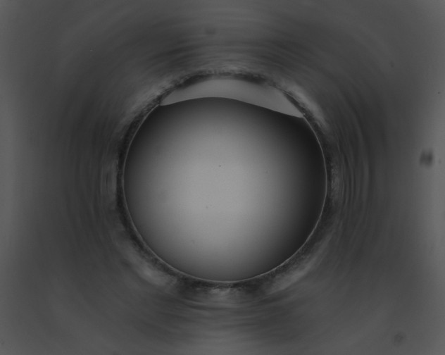 X0000091560493200708311418