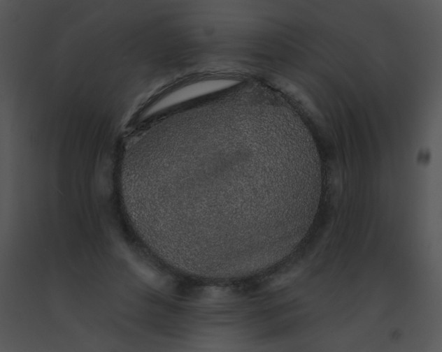 X0000091560496200708311418