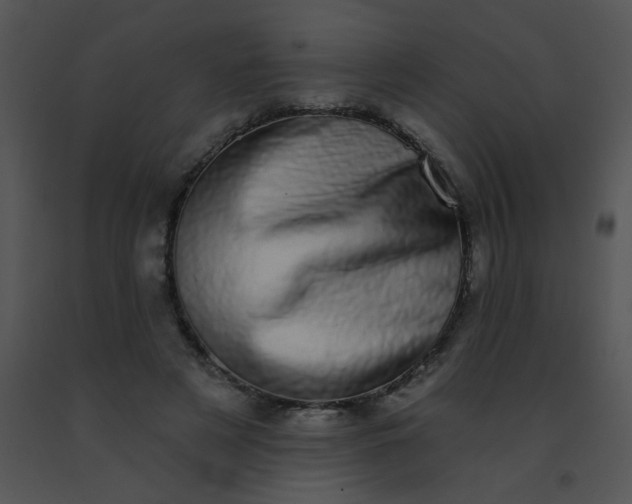 X0000091560497200708311418