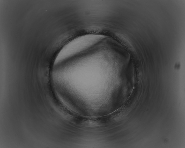 X0000091560498200708311418