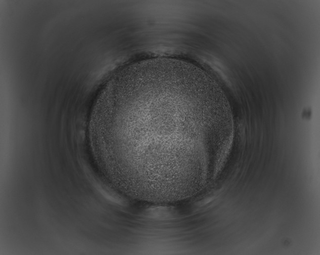 X0000091560499200708311418