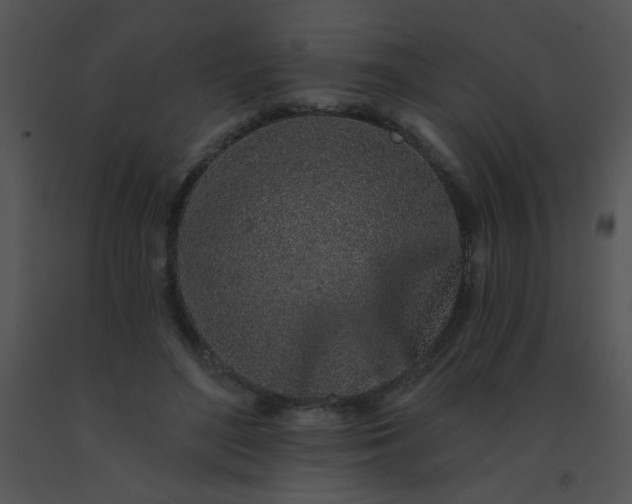 X0000091560500200708311418