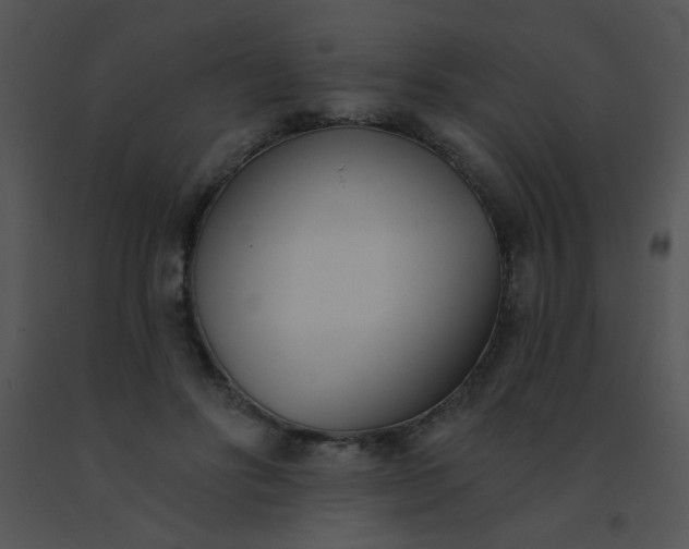 X0000091560502200708311418