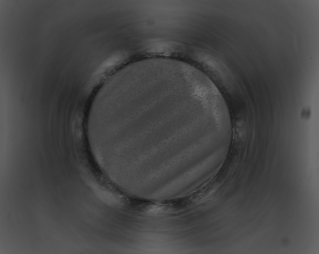 X0000091560504200708311418