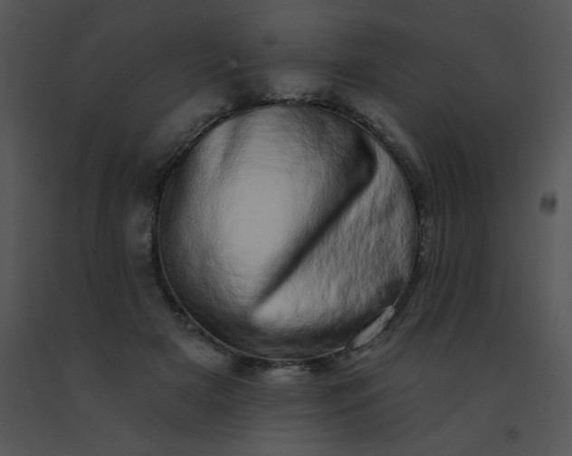 X0000091560505200708311418