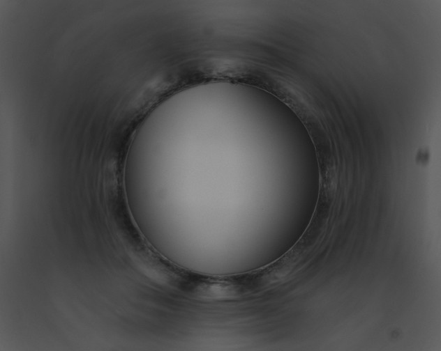 X0000091560506200708311418