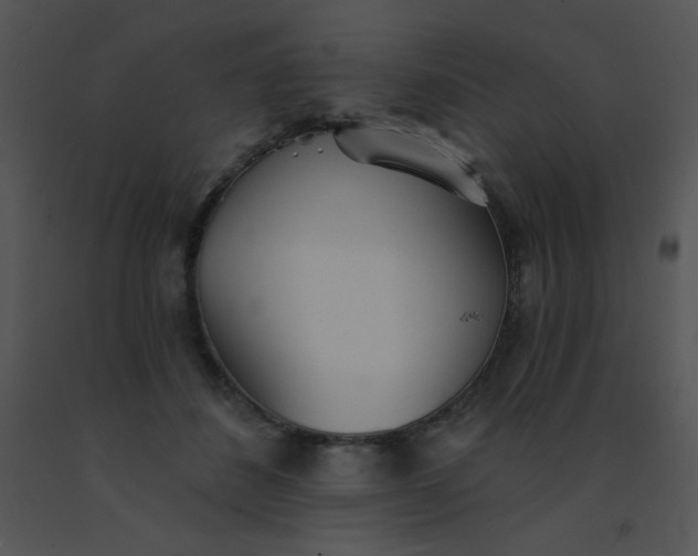 X0000091560508200708311418