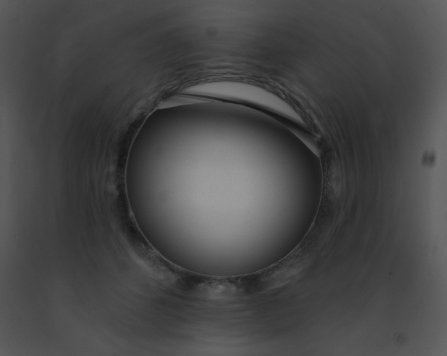 X0000091560512200708311417