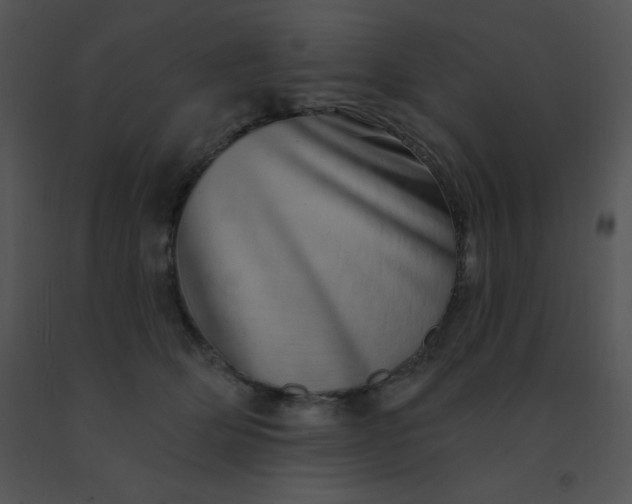 X0000091560514200708311417