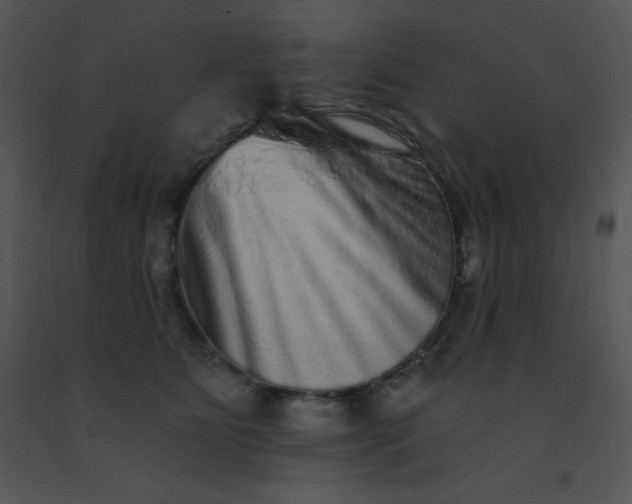 X0000091560515200708311417