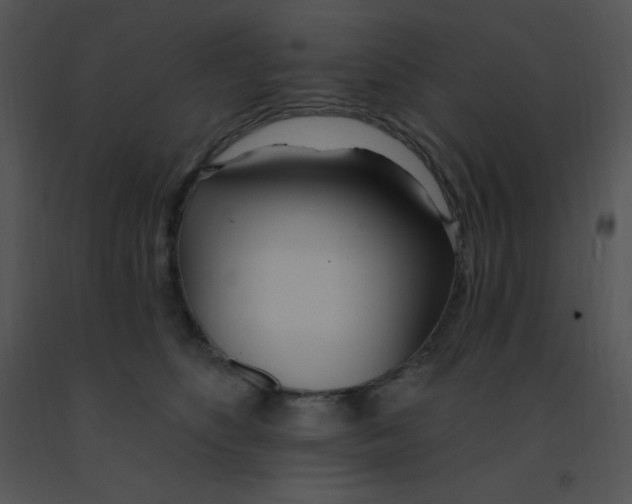 X0000091560516200708311417