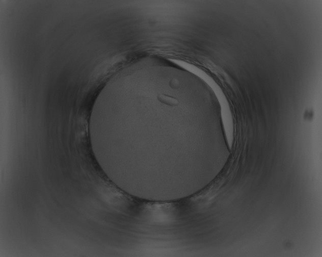 X0000091560517200708311417